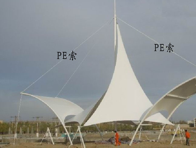 PE����Ĥ�Y(ji��)��(g��u)�đ���