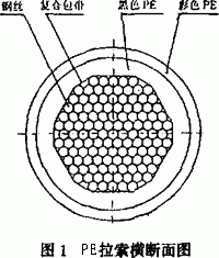 PE���M�����f���D