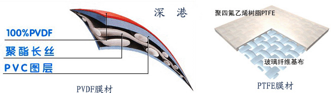 PVDFĤ���Ϻ�PTFEEĤ���ϵĘ�(g��u)��